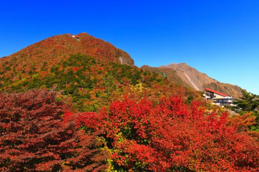 普賢岳紅葉樹林-0
