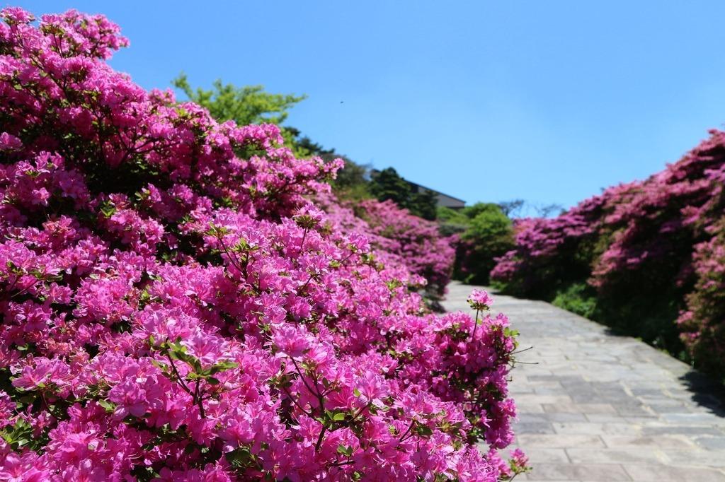 仁田峠-6