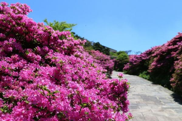 仁田峠-6