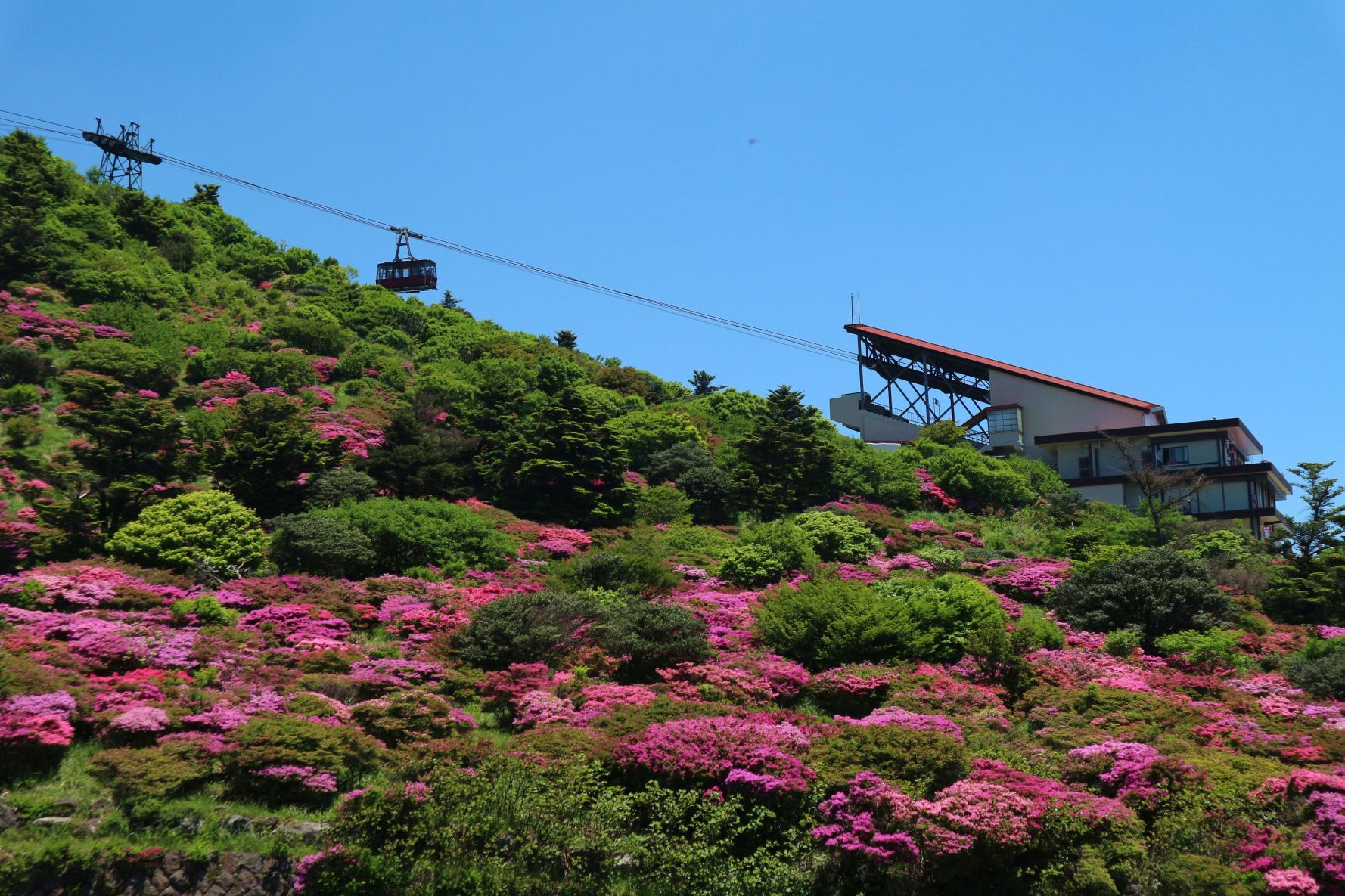 仁田峠 | 観光スポット | 【公式】長崎観光/旅行ポータルサイト ながさき旅ネット