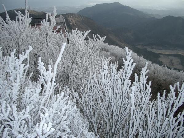 니타토우게 고개 (仁田峠)-2