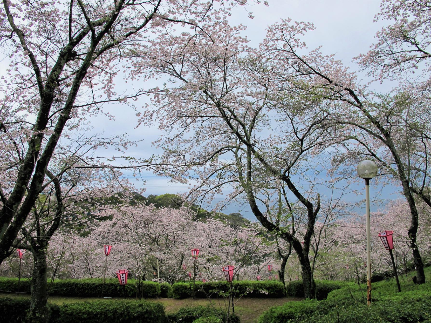 とけん山公園-5