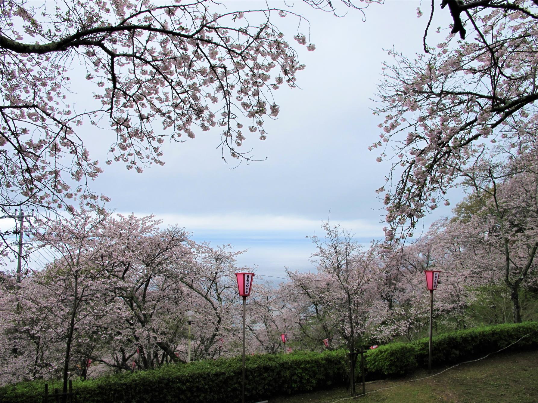とけん山公園-1