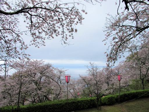 とけん山公園-0