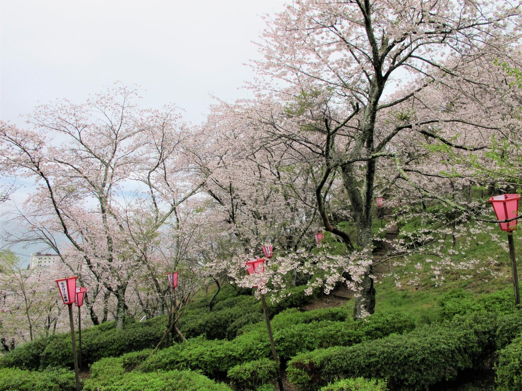 とけん山公園-2