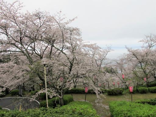 とけん山公園-1