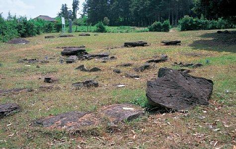 原山支石墓群（原山ドルメン）-1