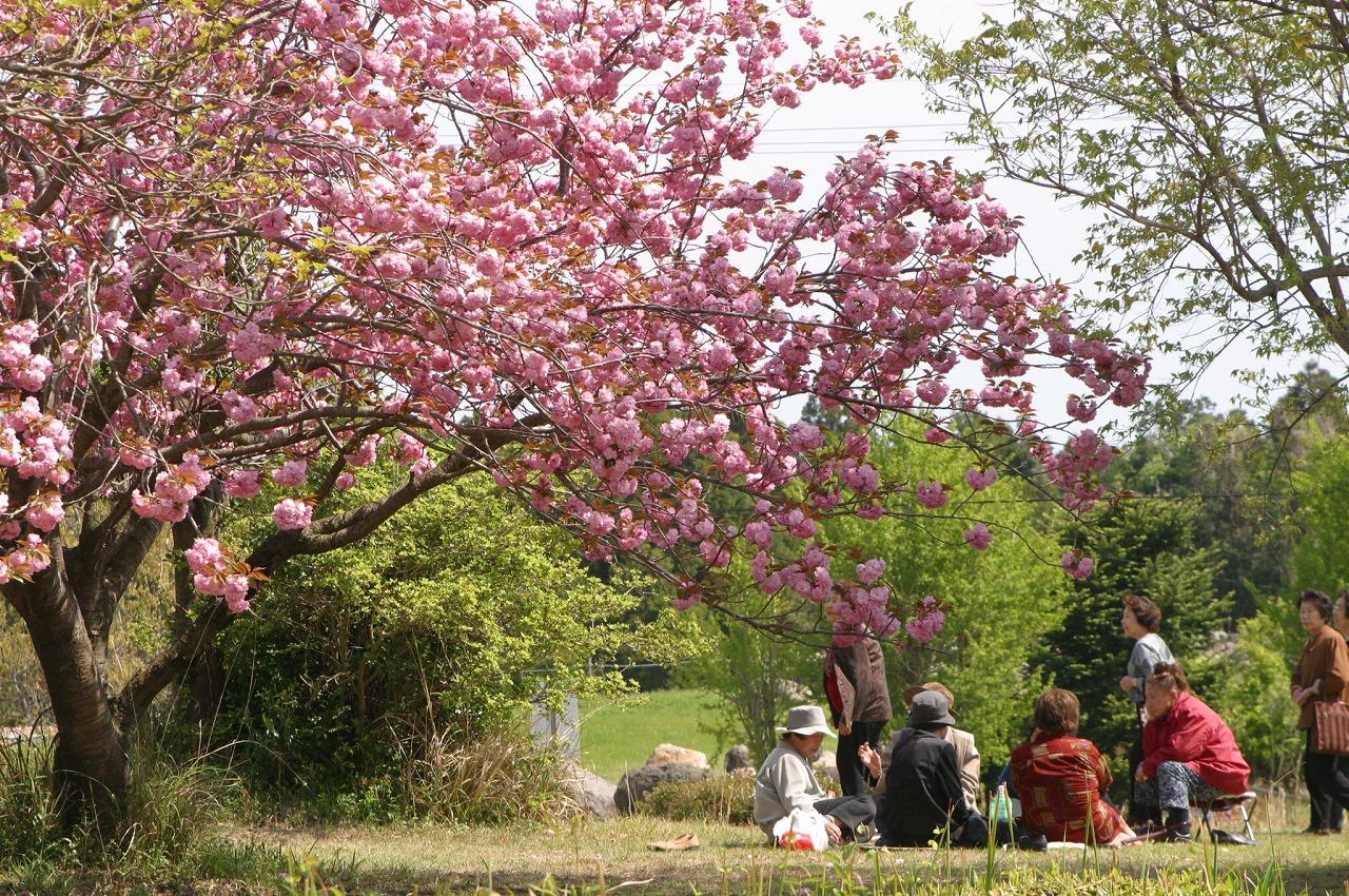 ありえ俵石自然運動公園-1