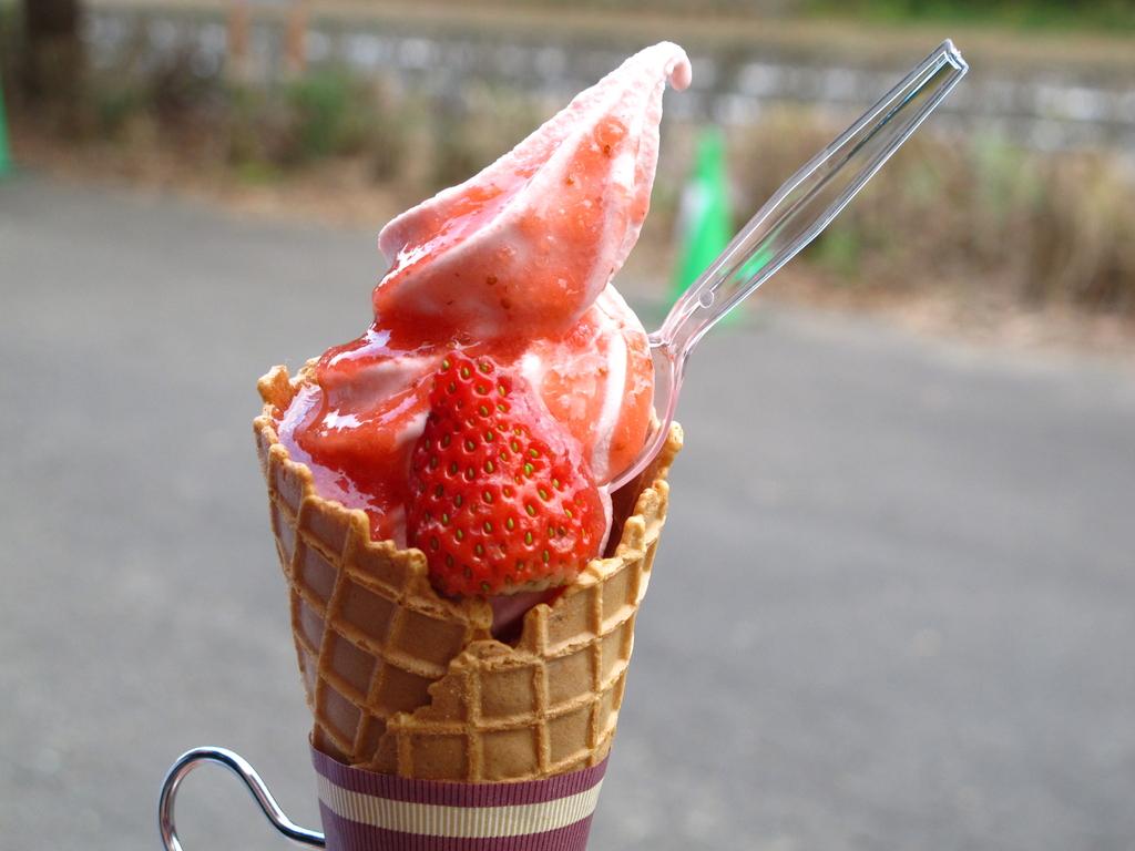 観光いちご狩り農園 いちごの森 観光スポット 公式 長崎観光 旅行ポータルサイト ながさき旅ネット 観光いちご狩り農園 いちごの森 観光スポット 公式 長崎観光 旅行ポータルサイト ながさき旅ネット