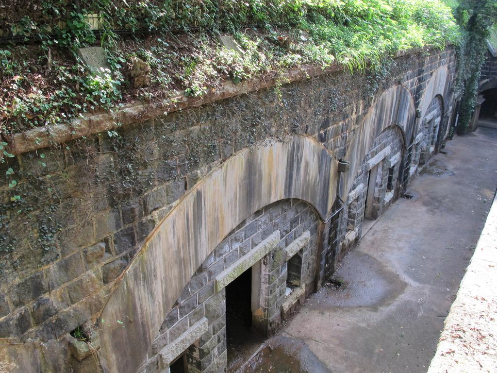 石原岳森林公園-0