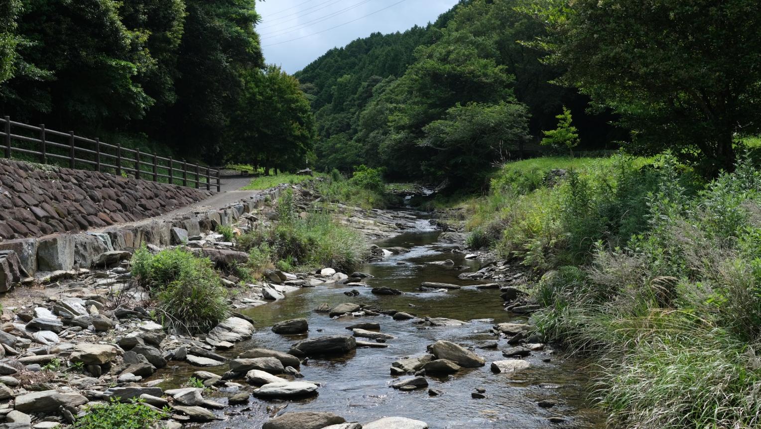 多以良川ホタルの里河川公園-1