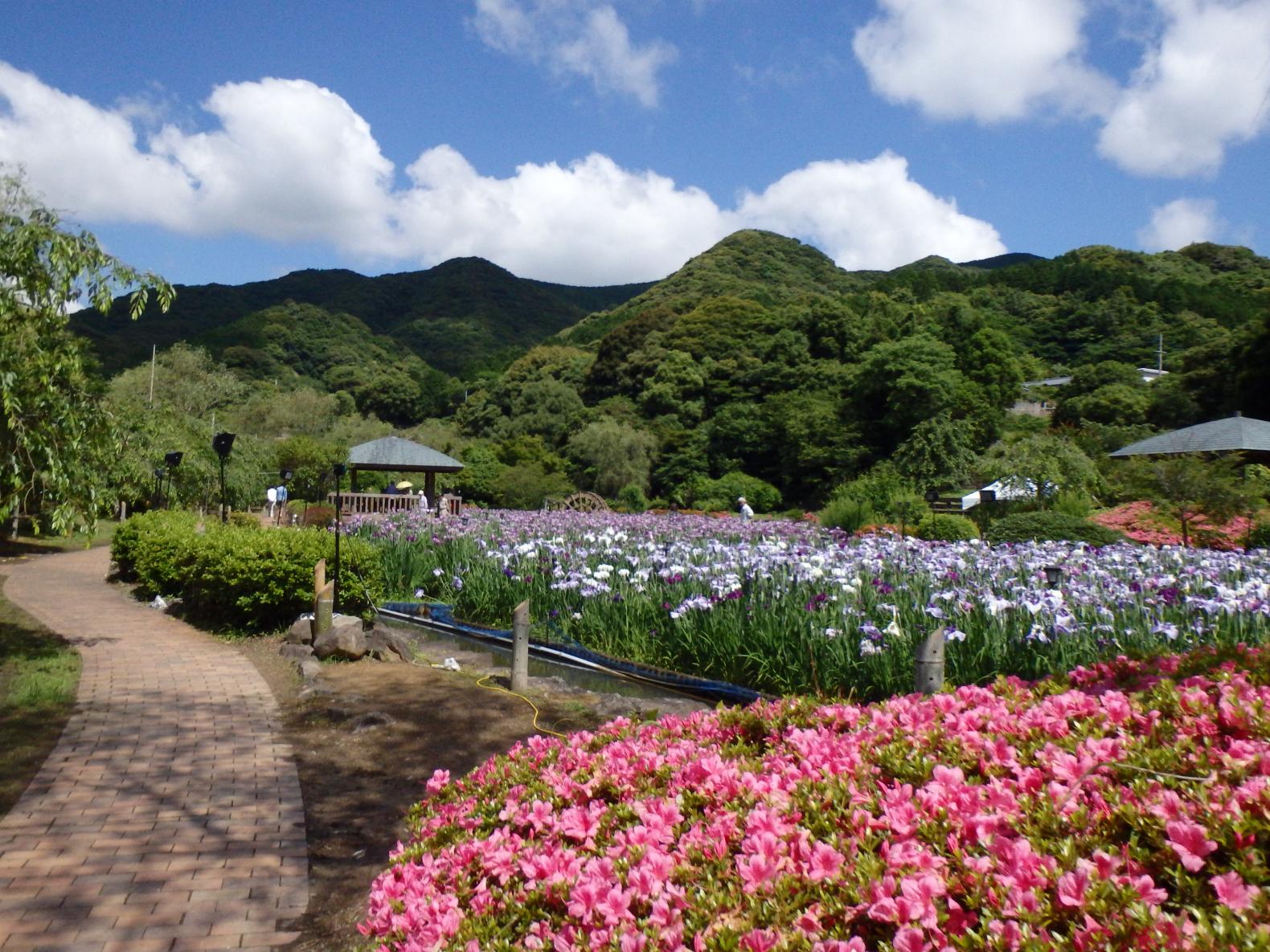 사사쵸 사라야마 산 공원 (佐々町皿山公園)-1