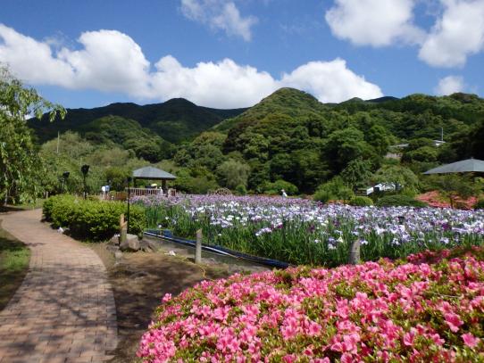 사사쵸 사라야마 산 공원 (佐々町皿山公園)-0