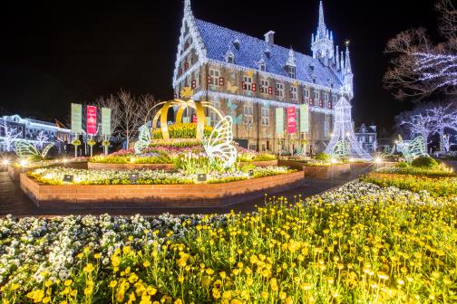 The Huis Ten Bosch Tulip Festival-4