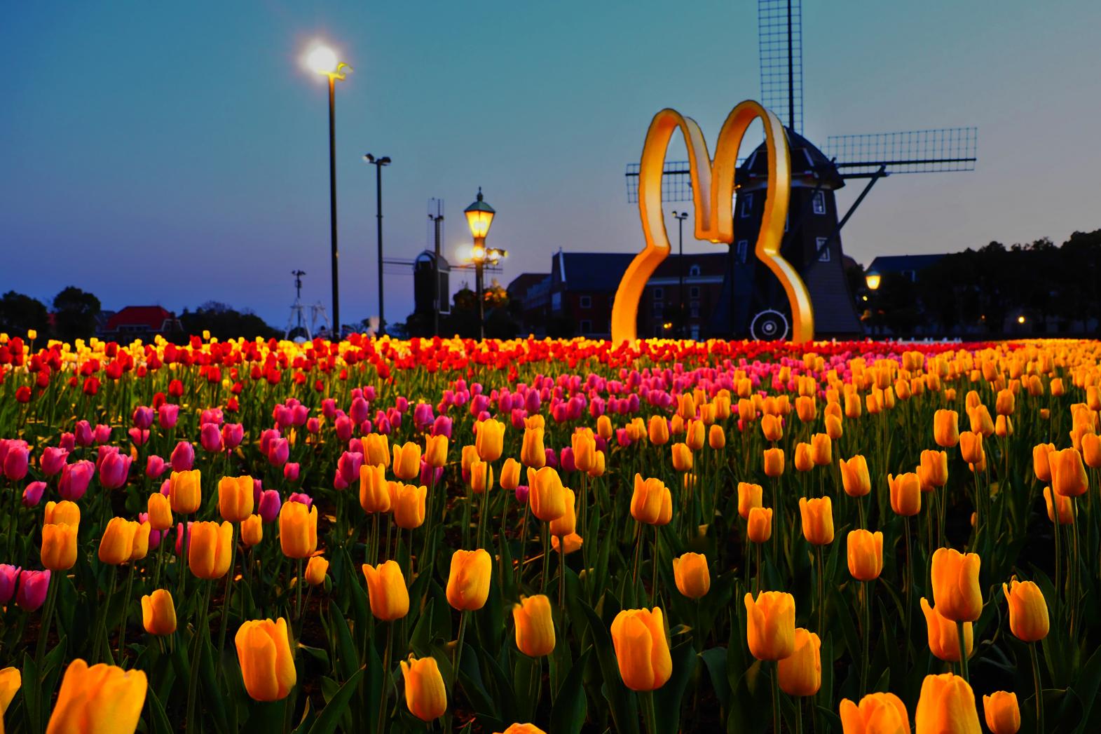 The Huis Ten Bosch Tulip Festival-4