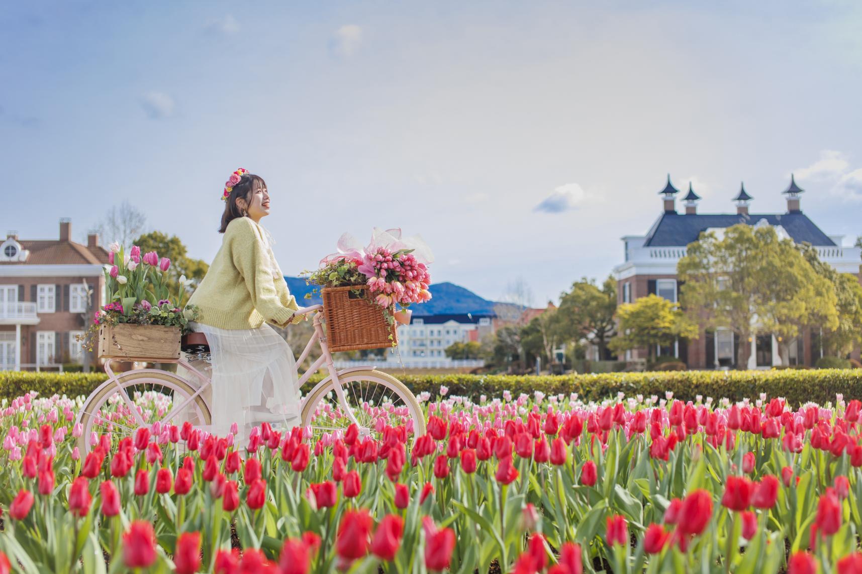 The Huis Ten Bosch Tulip Festival | Events | DISCOVER NAGASAKI/The
