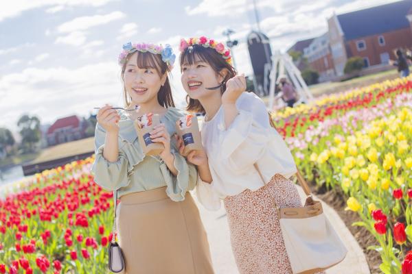 【豪斯登堡】100万株的郁金香节-4