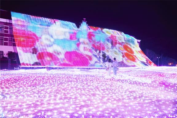 【豪斯登堡】100万株的郁金香节-9