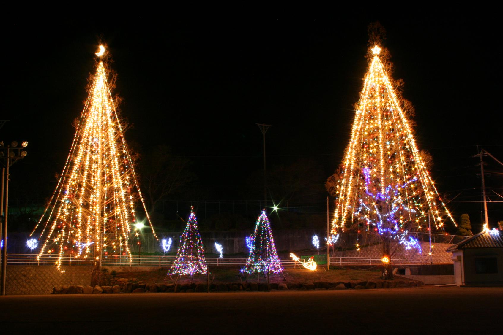 Festivitas Natalis-1