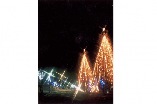 フェスティビタス　ナタリス-1