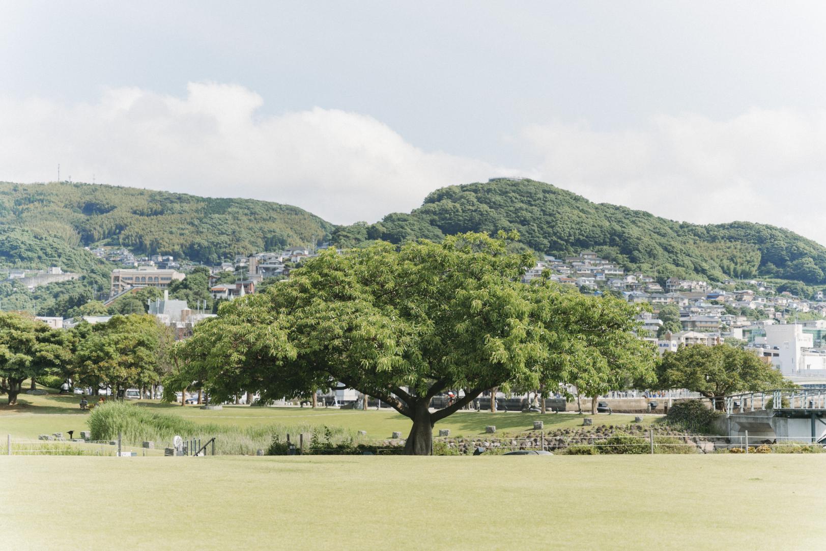 長崎水辺の森公園-4