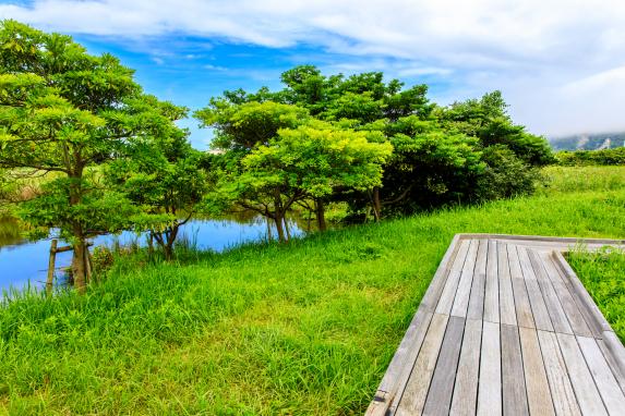 黒崎永田湿地自然公園-4