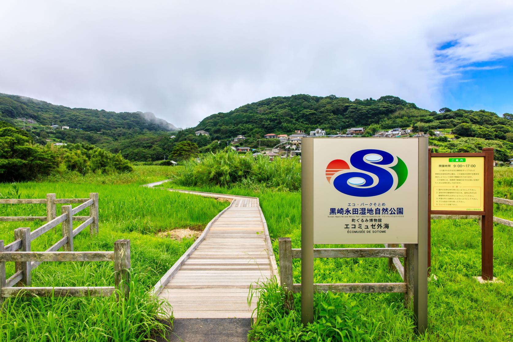 黒崎永田湿地自然公園-1