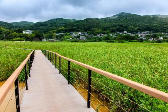 黒崎永田湿地自然公園-6