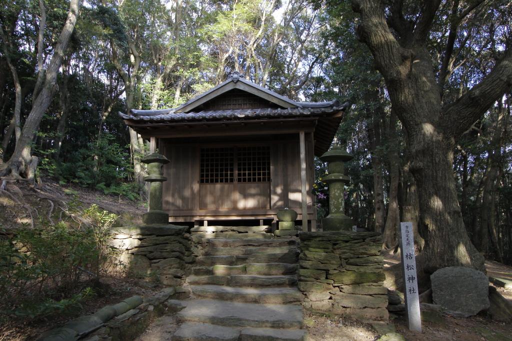 サン・ジワン枯松神社-1