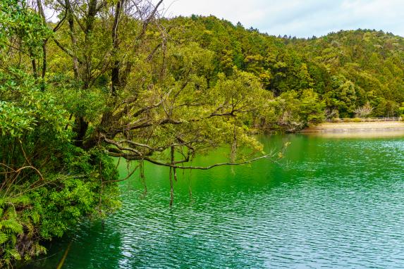 琴海赤水公園-4