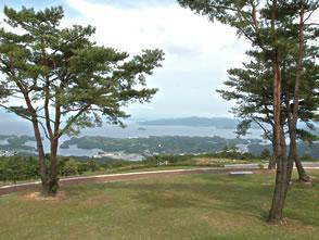 琴海花まつり イベント 公式 長崎観光 旅行ポータルサイト ながさき旅ネット 琴海花まつり イベント 公式 長崎観光 旅行ポータルサイト ながさき旅ネット