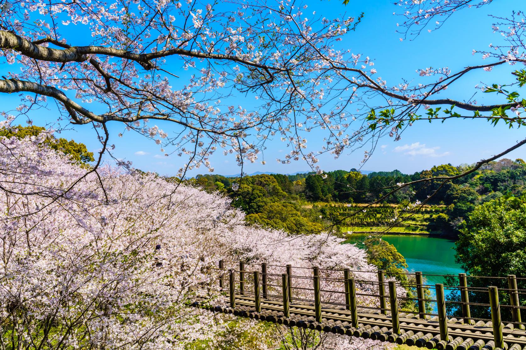 琴海中央公園-1