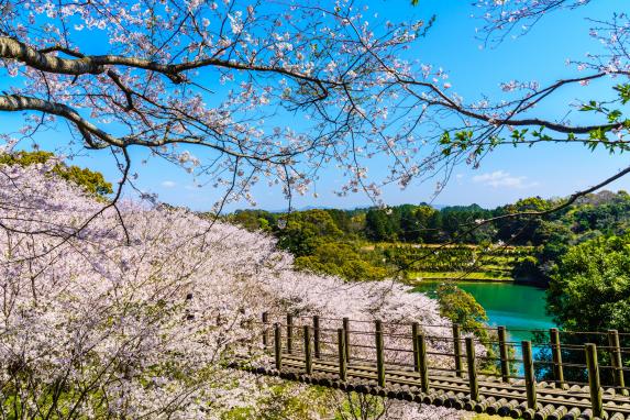 琴海中央公園-0