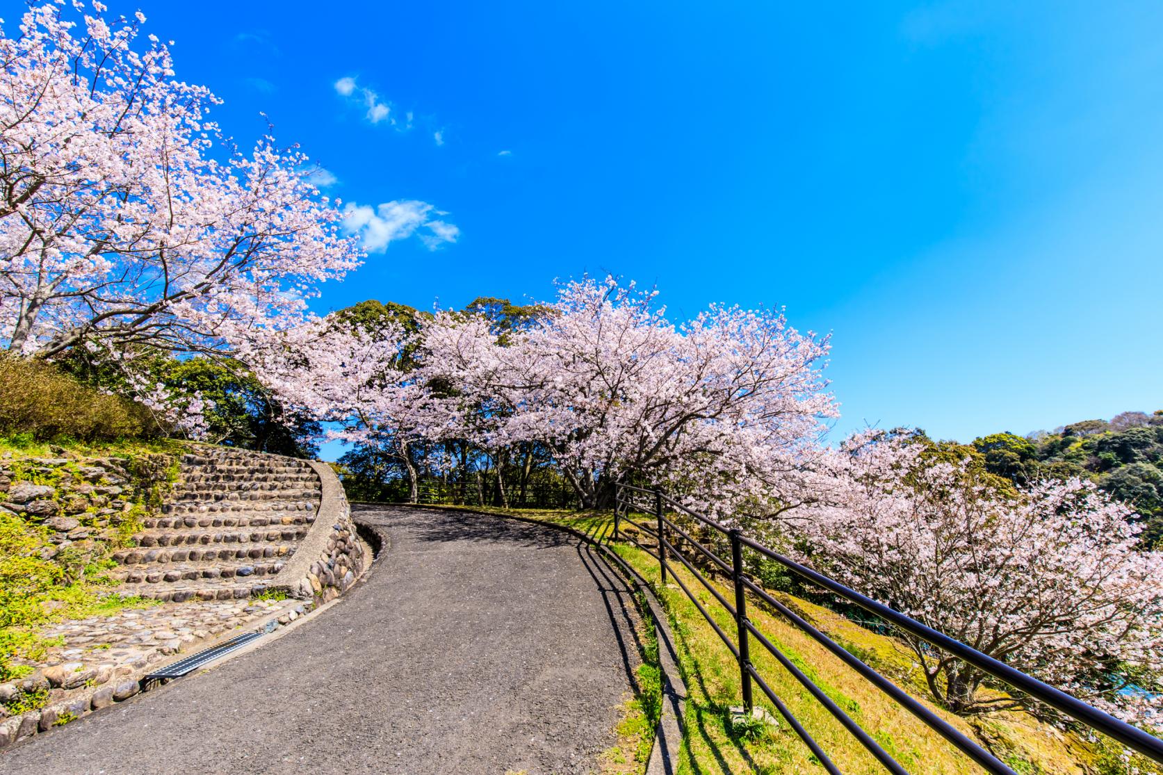 琴海中央公園-9