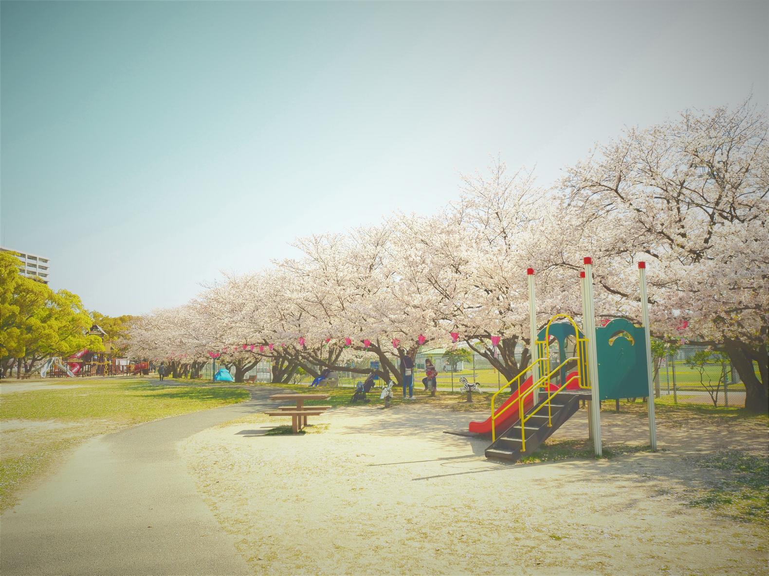 佐世保公園-0