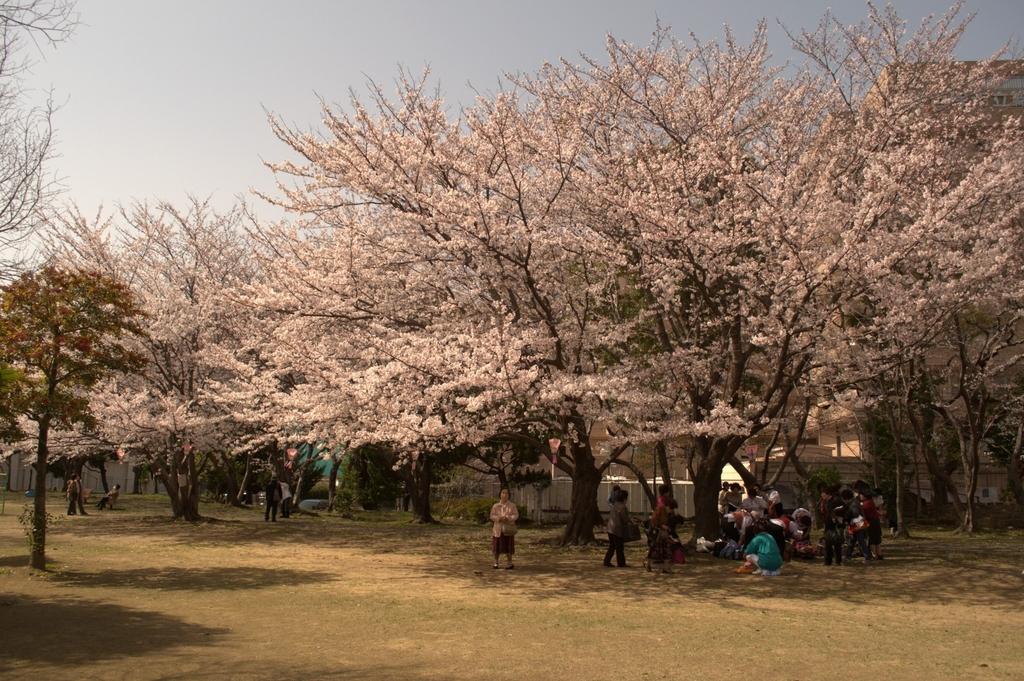 九十九島かき食うカキ祭り 秋の陣 冬の陣 イベント 公式 長崎観光 旅行ポータルサイト ながさき旅ネット 九十九島かき食うカキ祭り 秋の陣 冬の陣 イベント 公式 長崎観光 旅行ポータルサイト ながさき旅ネット