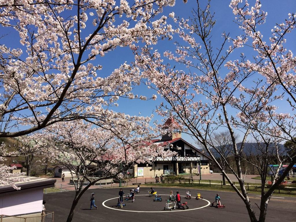 えぼし桜ウィーク-1