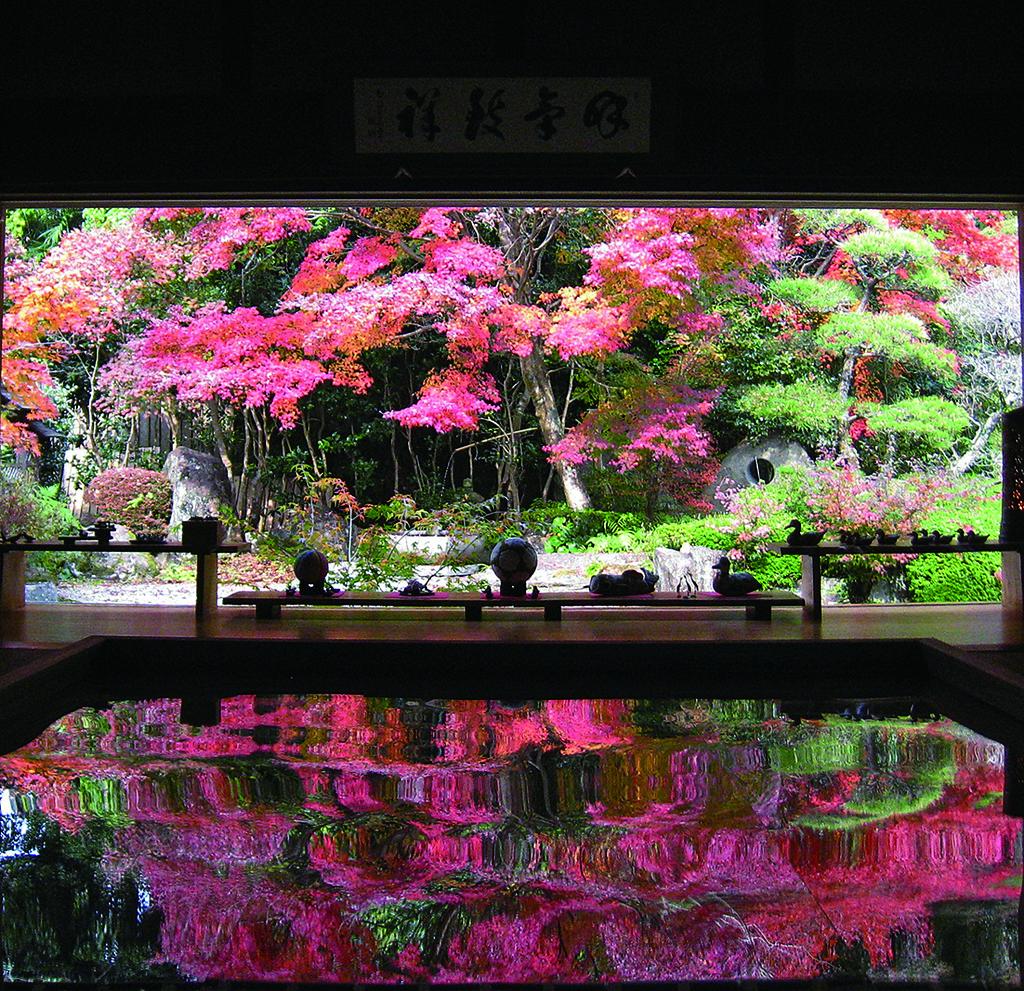寿福寺-2