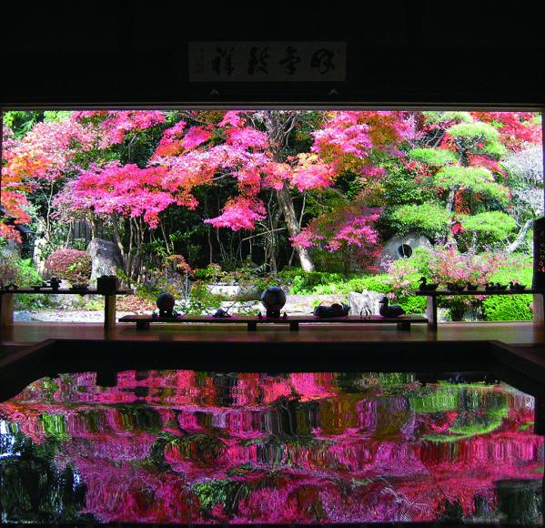 寿福寺-2