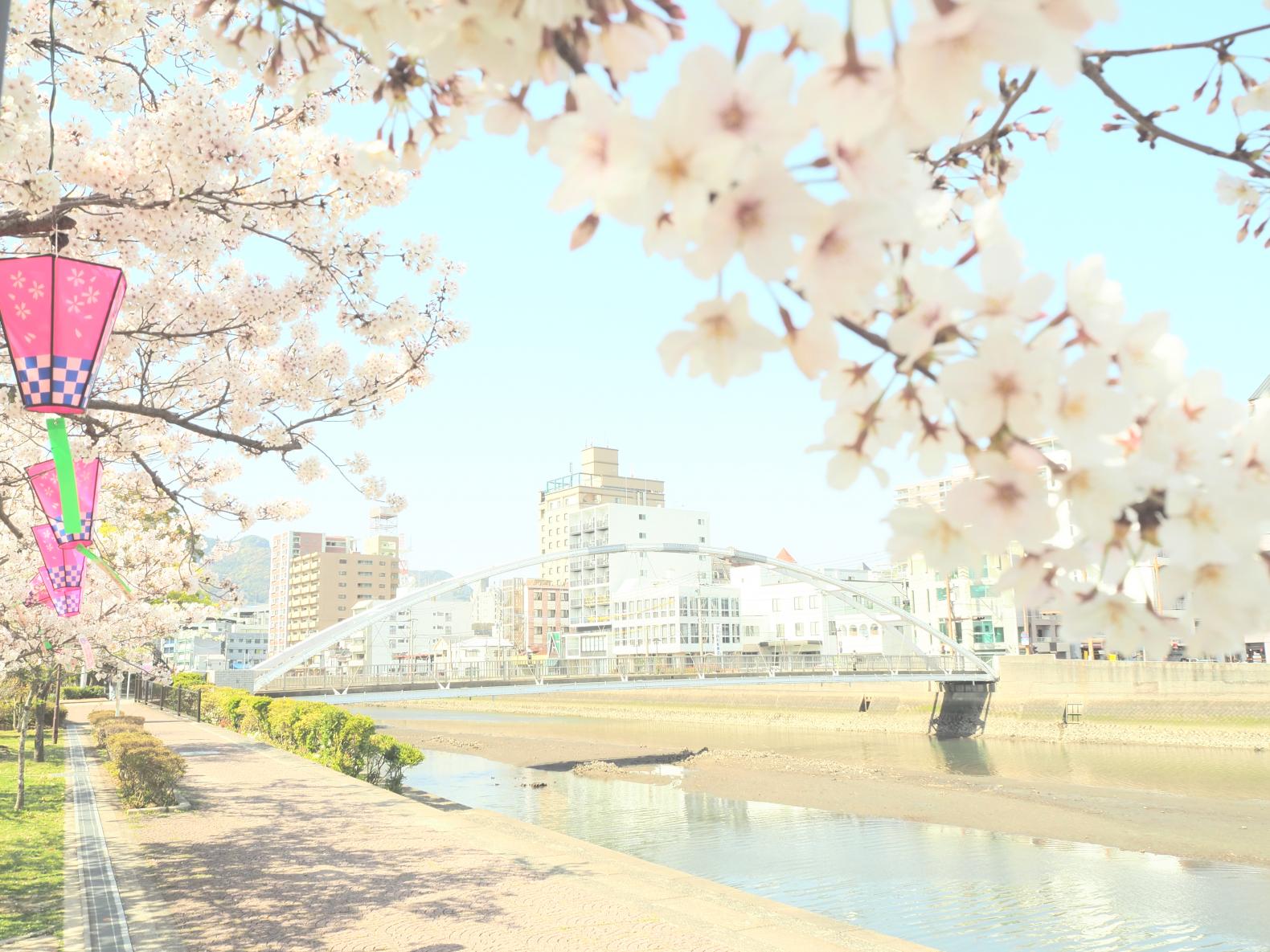 佐世保公園ぼんぼり点灯-1