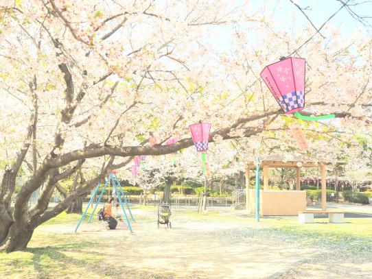 佐世保公園ぼんぼり点灯-3