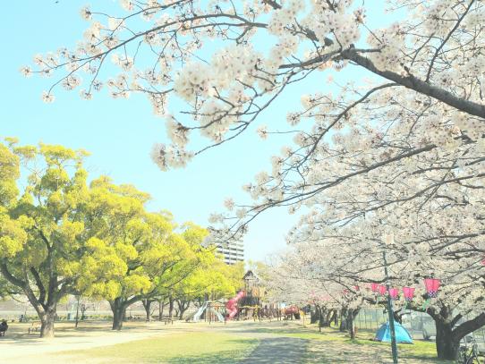佐世保公園ぼんぼり点灯-1