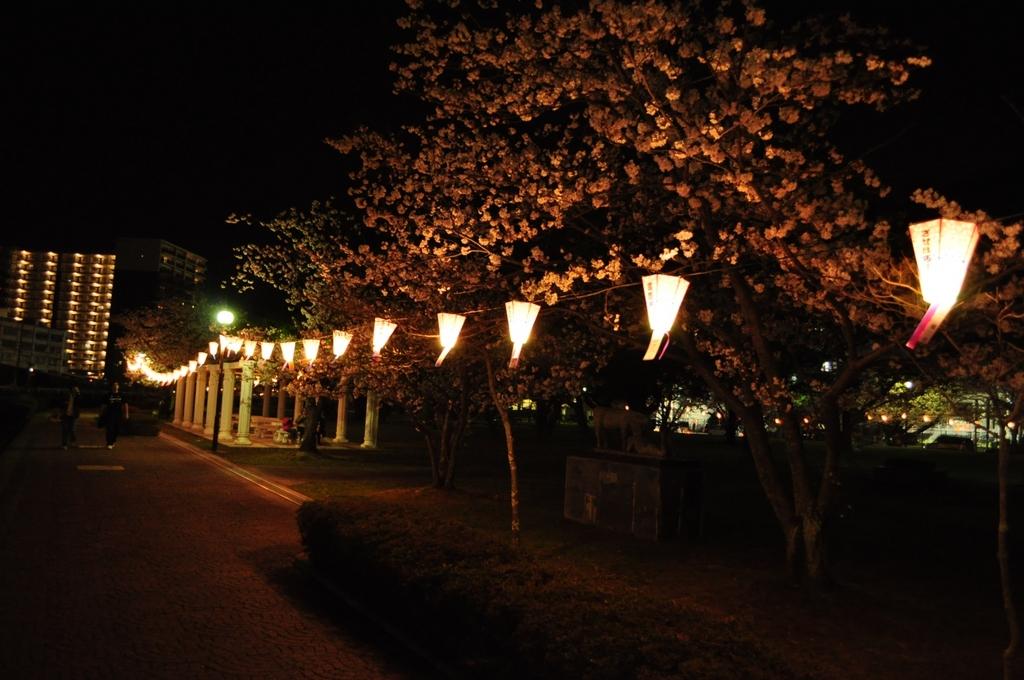佐世保公園ぼんぼり点灯-4