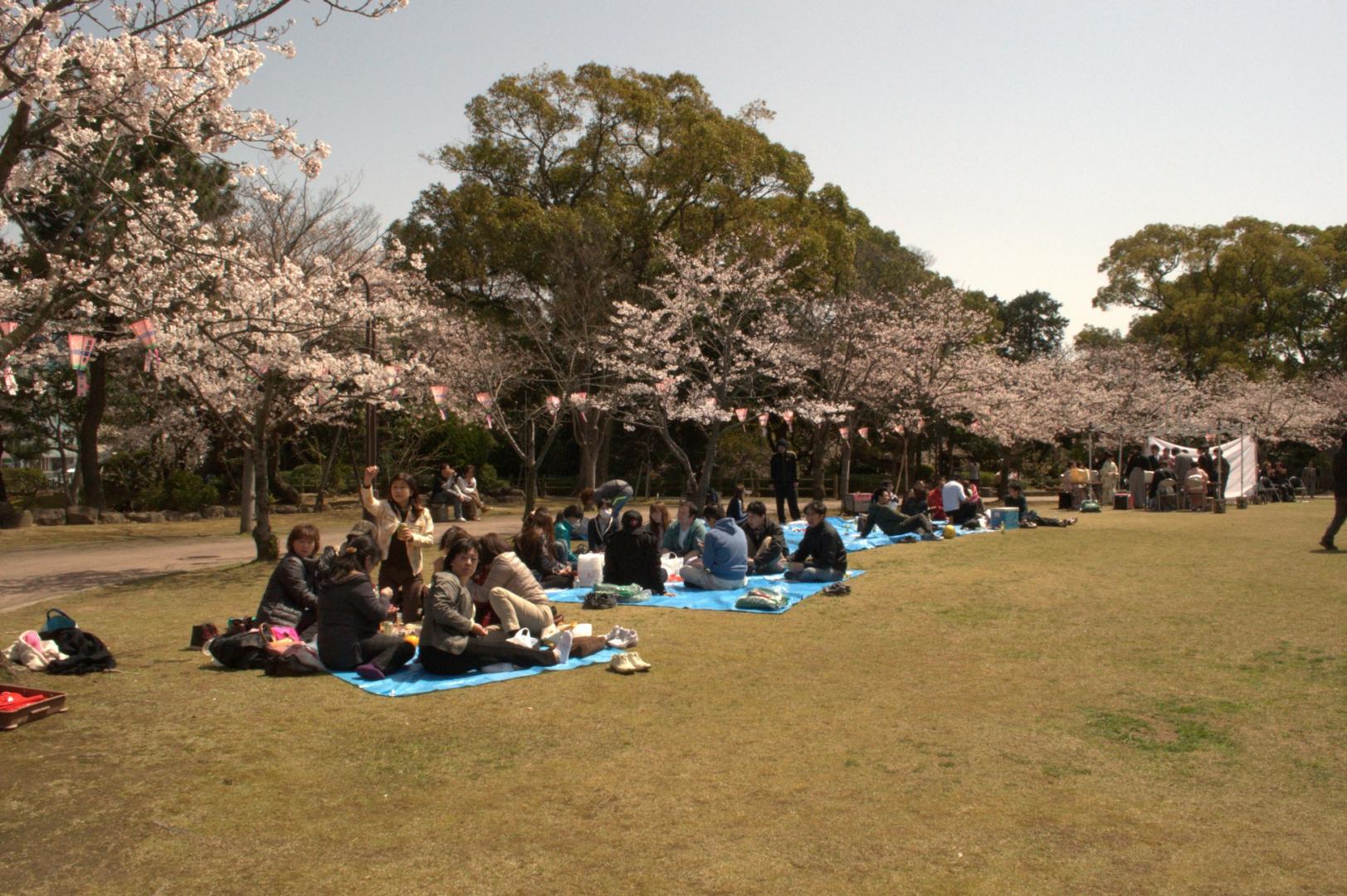 佐世保公園ぼんぼり点灯-7