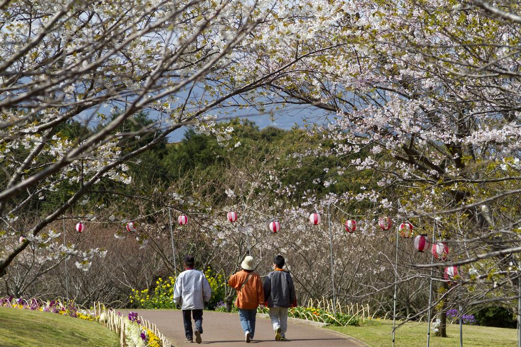 田平公園-1