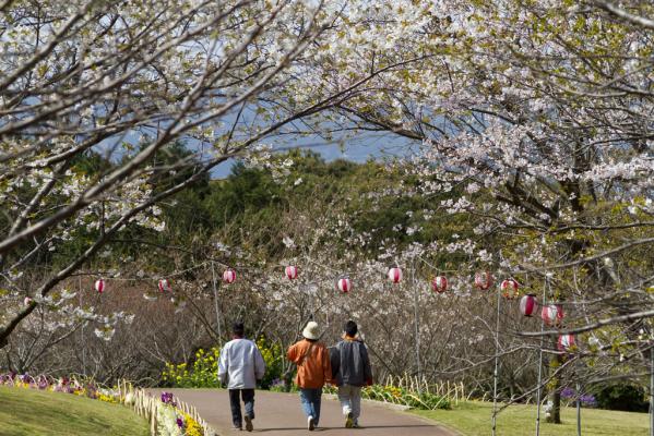 田平公園-1