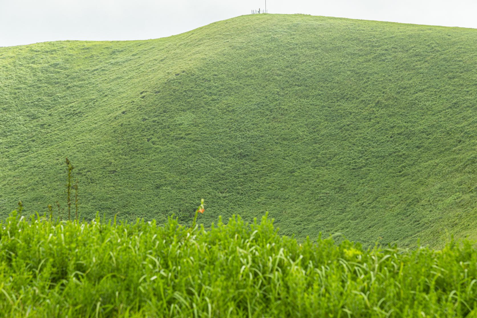 Mt. Onidake-6