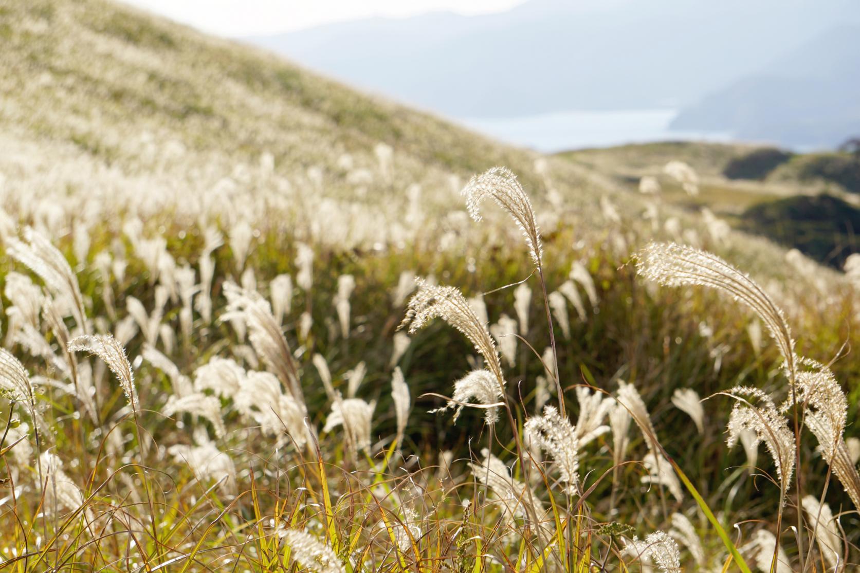 Mt. Onidake-8