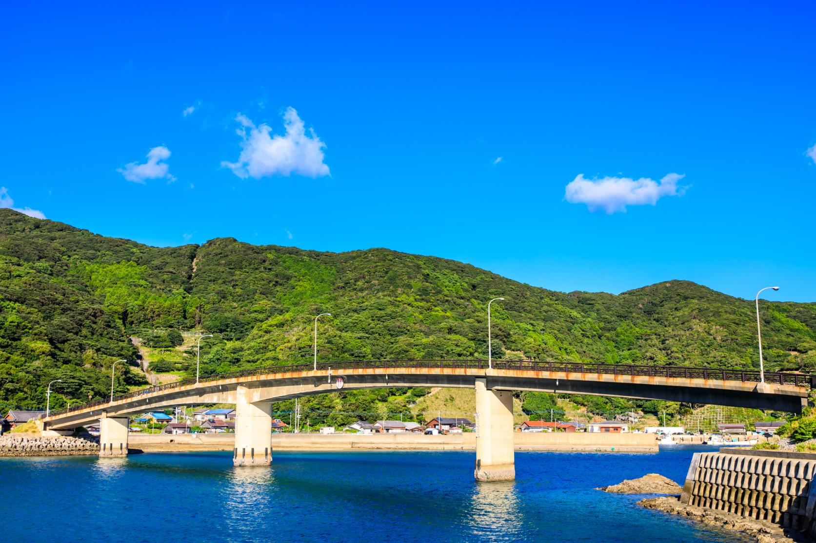 島山島（向小浦園地）-0