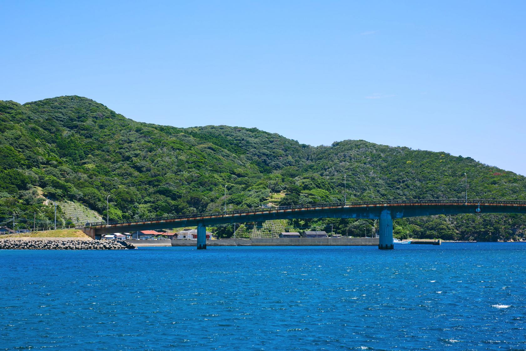 島山島-3
